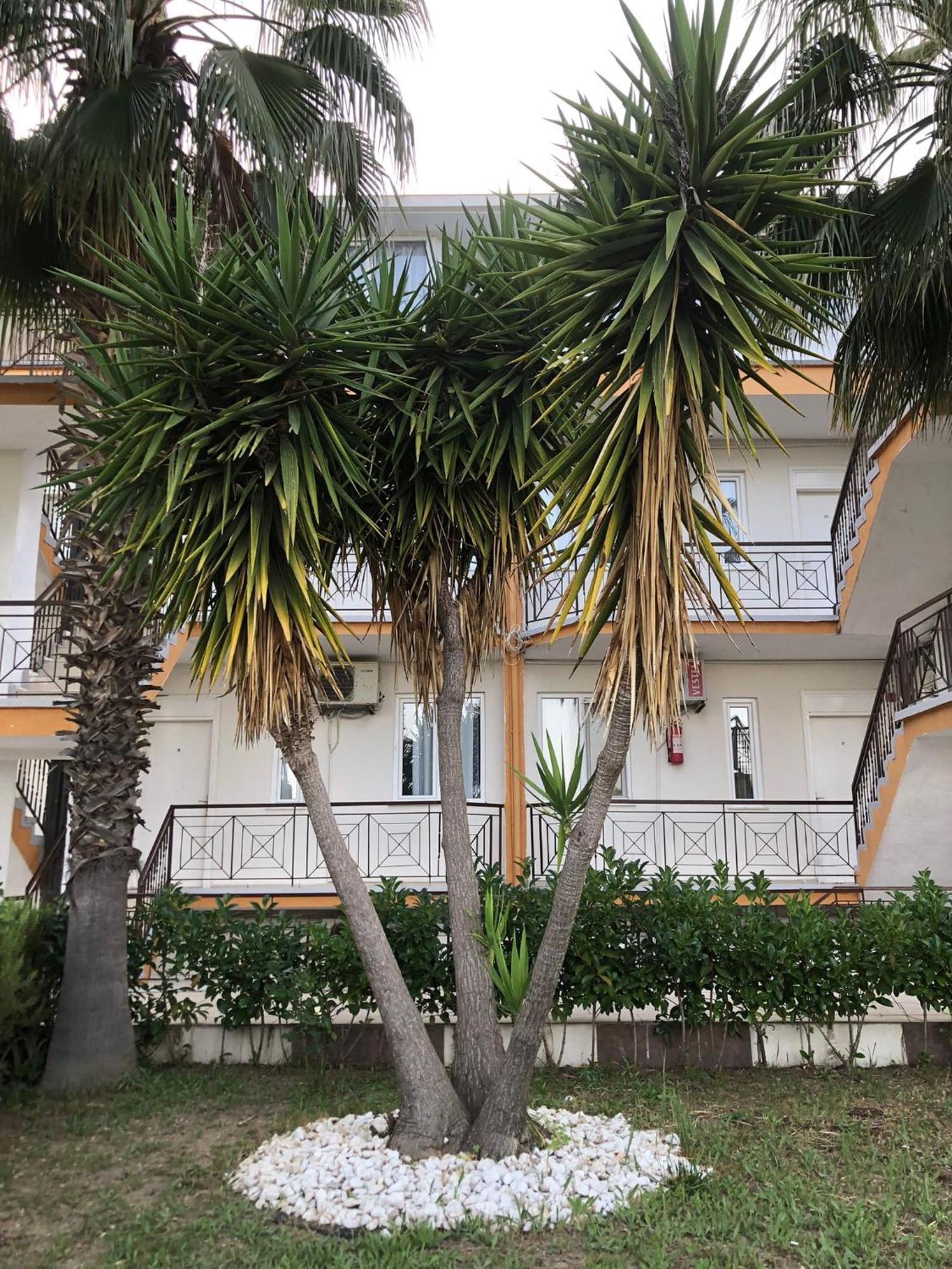 Mina Grand Hotel Kemer Esterno foto