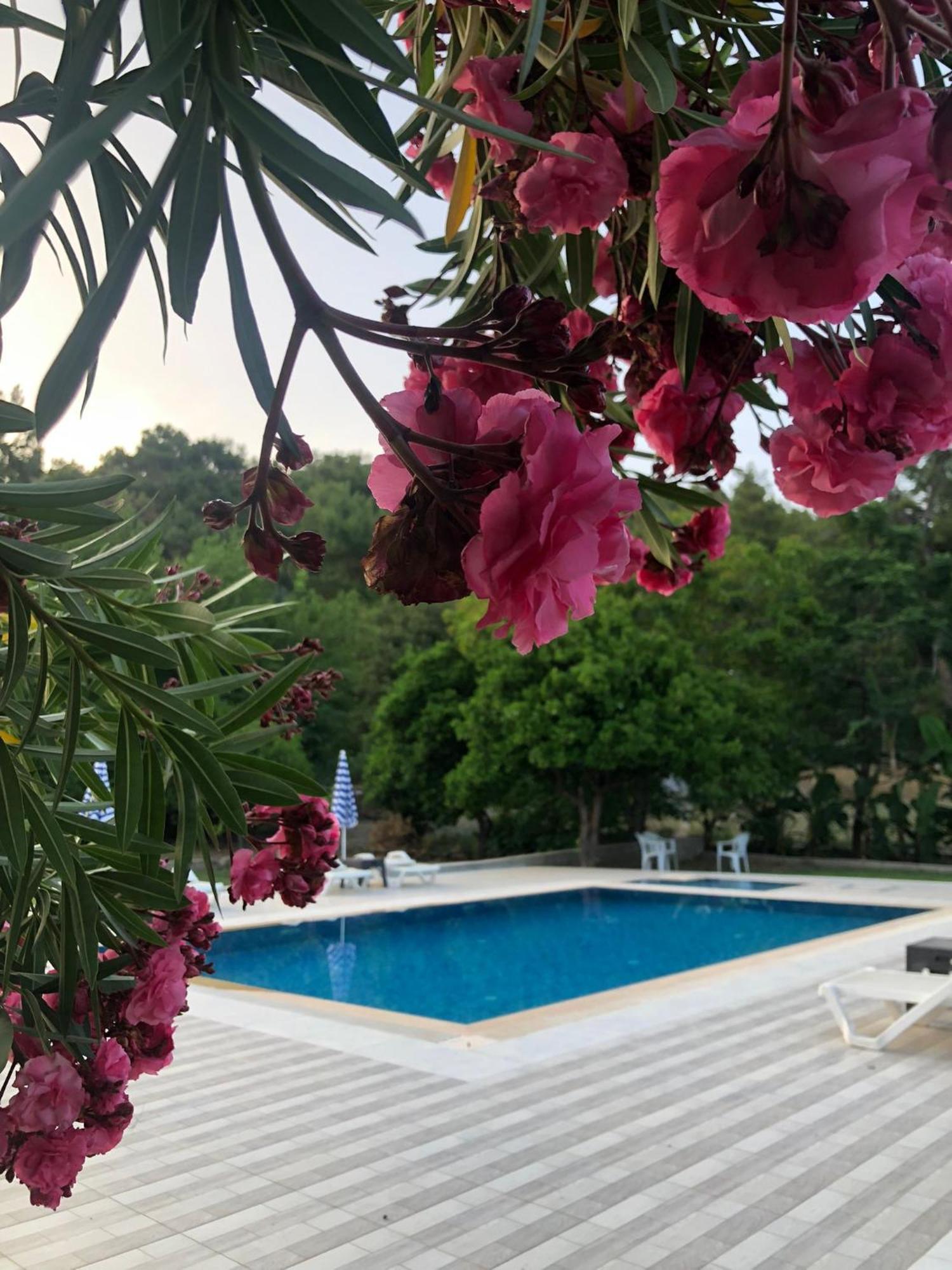 Mina Grand Hotel Kemer Esterno foto